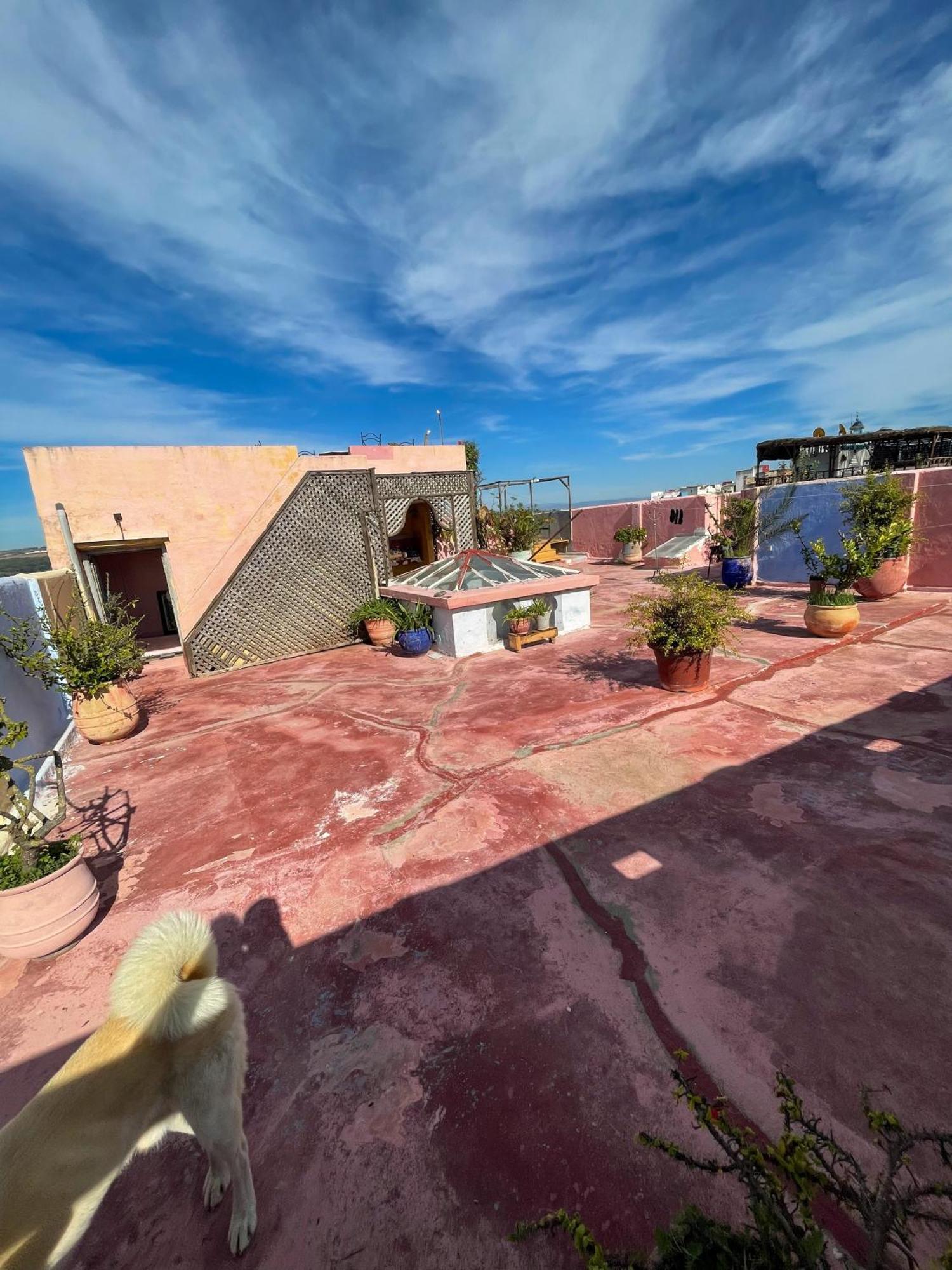 La Maison Haute Larache Morocco Extérieur photo